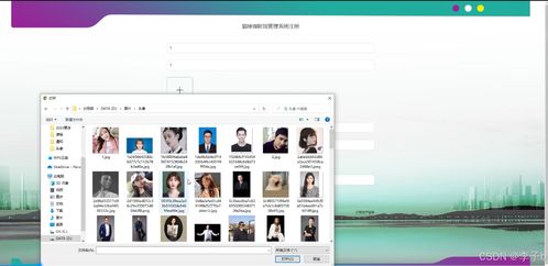 Spring Boot + Vue 猫咪咖啡馆管理系统 技术融合与界面设计的现代化探索